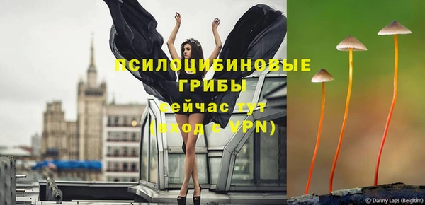 прущий лед Алзамай