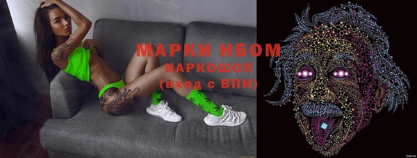 прущий лед Алзамай