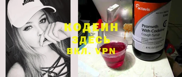 прущий лед Алзамай