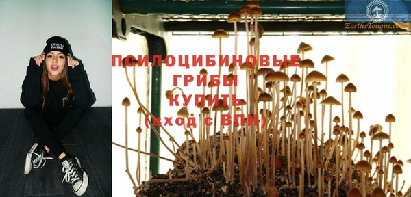 герыч Алексеевка