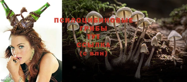 прущий лед Алзамай