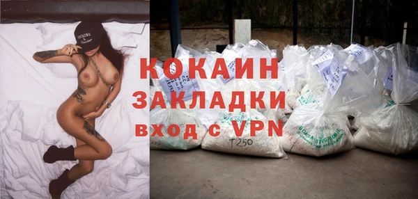 прущий лед Алзамай