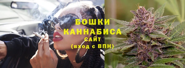 меф Ельня