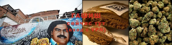 прущий лед Алзамай